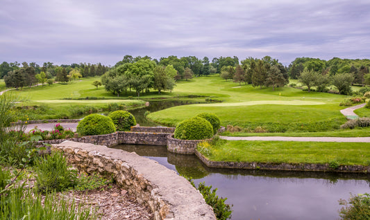 Mighty Plant; Revolutionizing Turf Care with Science-Backed Solutions