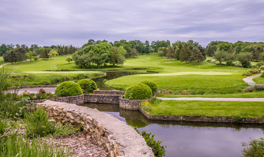 Mighty Plant; Revolutionizing Turf Care with Science-Backed Solutions