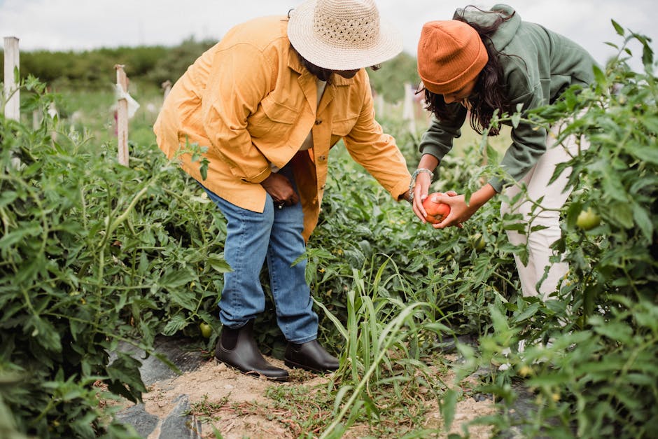 What Are the Benefits of Using Chemical-Free Plant Food?