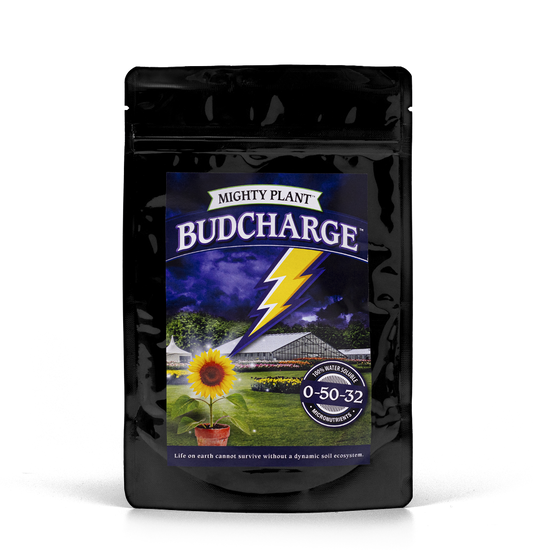 BudCharge™ (Wholesale Cases)